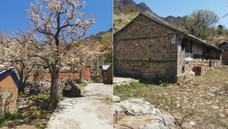 bv伟德国际1946集团受邀前往北京市平谷区核桃洼村就乡村振兴合作项目进行实地考察