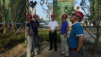 bv伟德国际1946集团董事长肖厚忠赴凤祥铭居公司检查指导工作